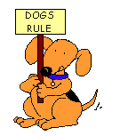 a dog holding and spinning a sign and wagging their tail. the sign reads 'dogs rules' on the front and 'cats drool' on the back.